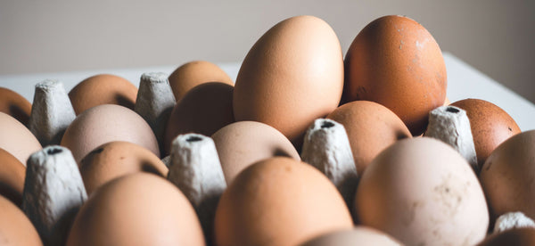 3 easy, high protein egg breakfast ideas