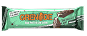 Dark Chocolate Mint Protein Bar
